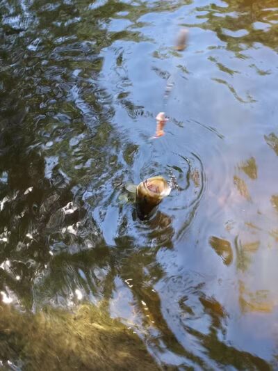 Two Rivers Park - Portland,