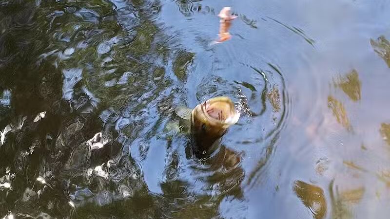 Two Rivers Park - Portland,