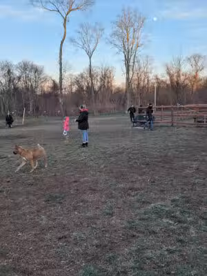 Portsmouth RI Dog Park - Portsmouth, RI