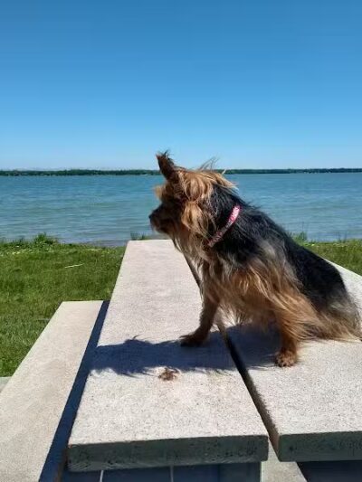 Grand Lake Roadside Park - Posen, MI