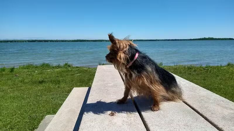 Grand Lake Roadside Park - Posen, MI
