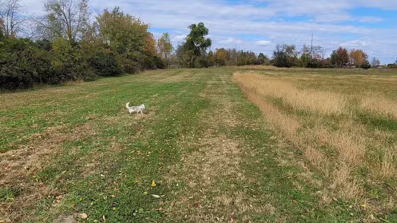 Alliance Lake Softball Park - Potterville,