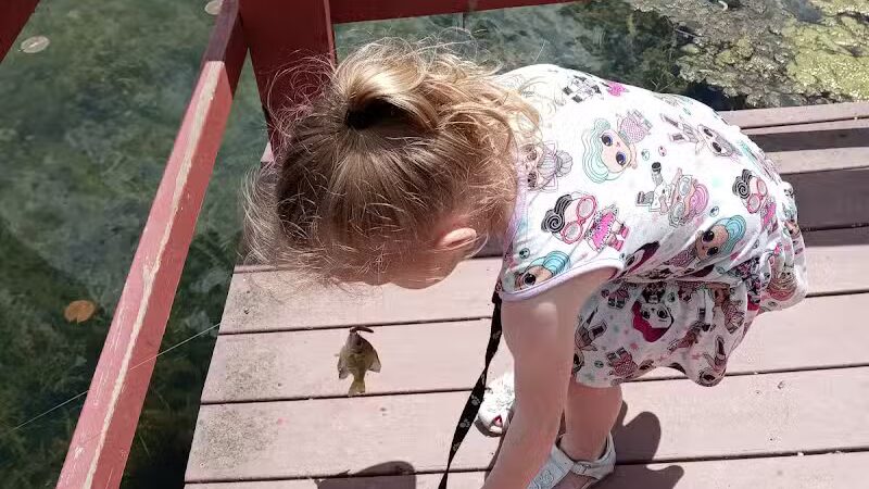 Alliance Lake Softball Park - Potterville,