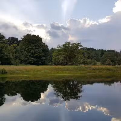 Fox Memorial Park - Potterville,