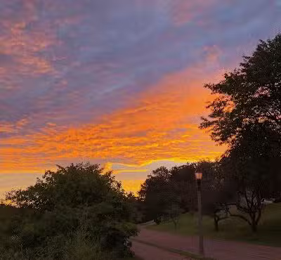 Fox Memorial Park - Potterville,
