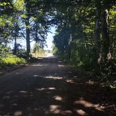 Lake Alliance Park - Potterville,