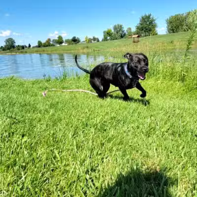 Lake Alliance Park - Potterville,