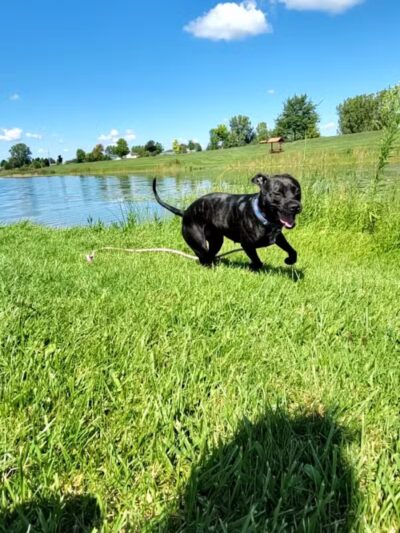 Lake Alliance Park - Potterville,