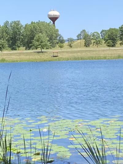 Lake Alliance Park - Potterville,