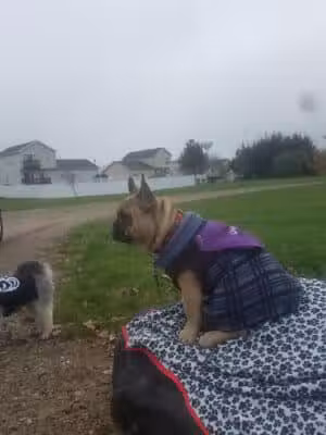 Alliance Lake Softball Park - Potterville,