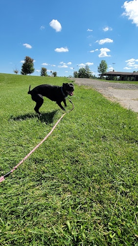 Lake Alliance Park - Potterville,