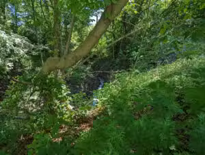Schuylkill River Trail (Pottstown) - Pottstown, PA