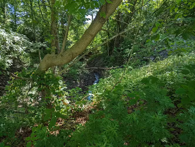 Schuylkill River Trail (Pottstown) - Pottstown, PA