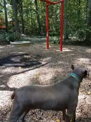 Fighting Creek Park - Powhatan, VA
