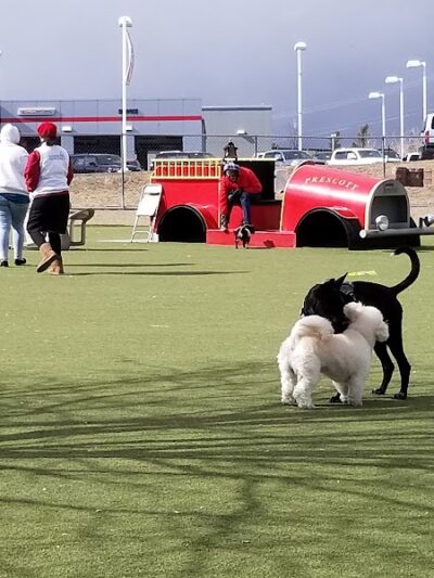 Willow Creek Beneful Dream Dog Park - Prescott, AZ