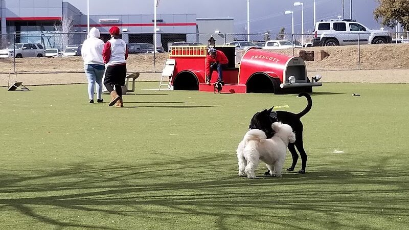 Willow Creek Beneful Dream Dog Park - Prescott, AZ
