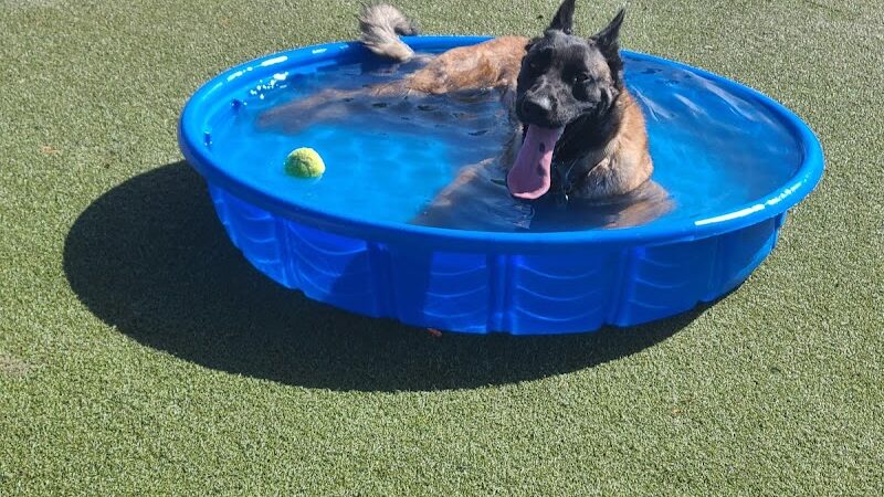 Willow Creek Beneful Dream Dog Park - Prescott, AZ