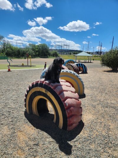 Willow Creek Beneful Dream Dog Park - Prescott, AZ