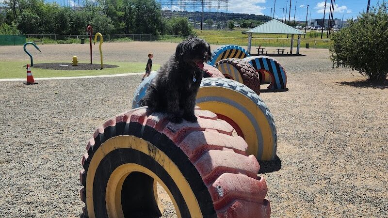 Willow Creek Beneful Dream Dog Park - Prescott, AZ
