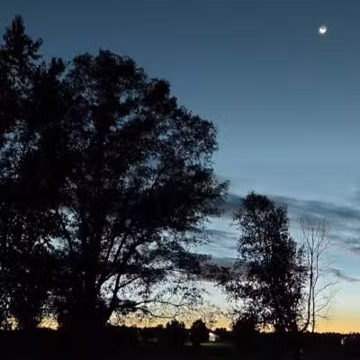 Newman Park - Prescott,