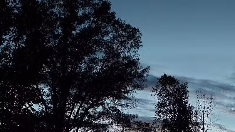 Newman Park - Prescott,