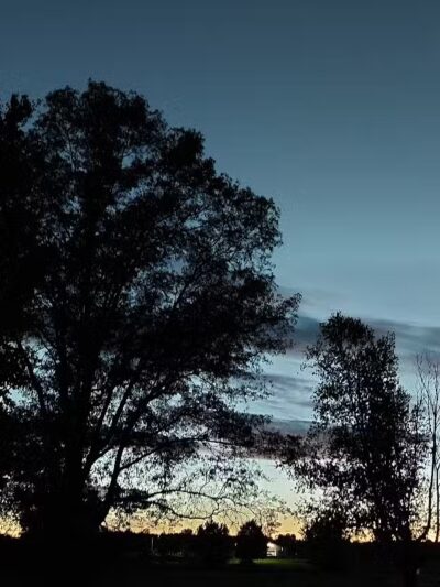 Newman Park - Prescott,