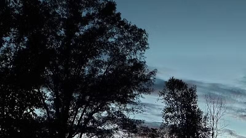 Newman Park - Prescott,