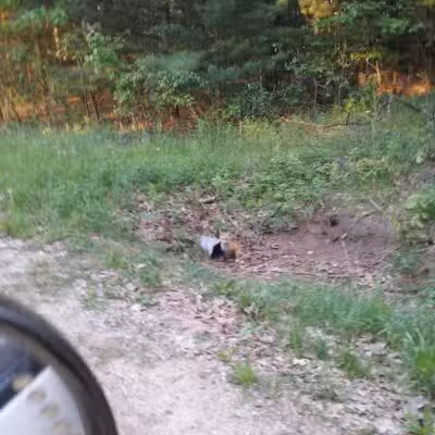 Newman Park - Prescott,