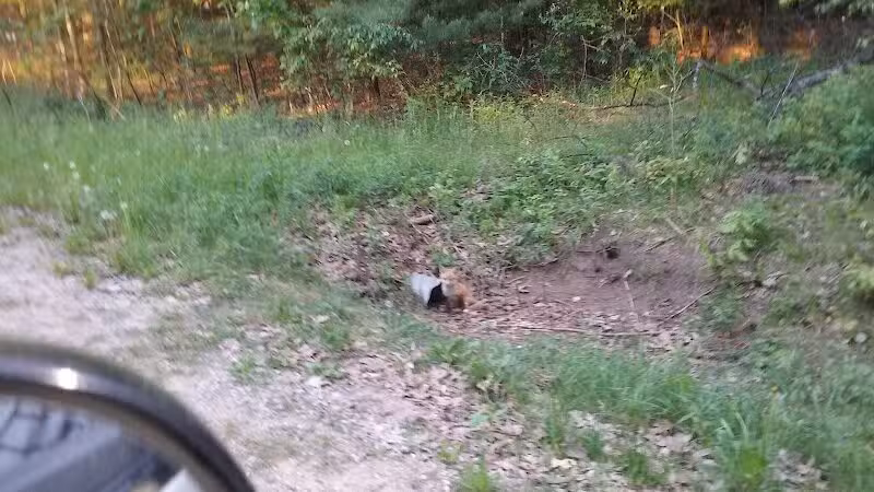 Newman Park - Prescott,