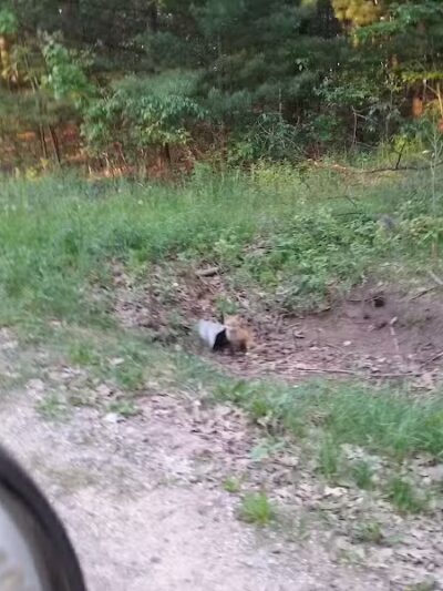 Newman Park - Prescott,