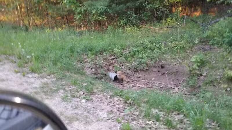 Newman Park - Prescott,