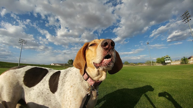 Town of Prescott Valley Dog Park - Prescott Valley, AZ