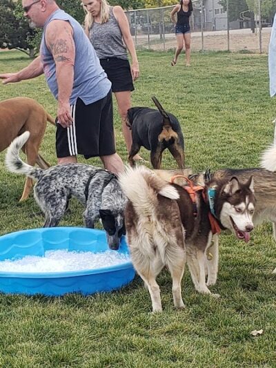 Town of Prescott Valley Dog Park - Prescott Valley, AZ