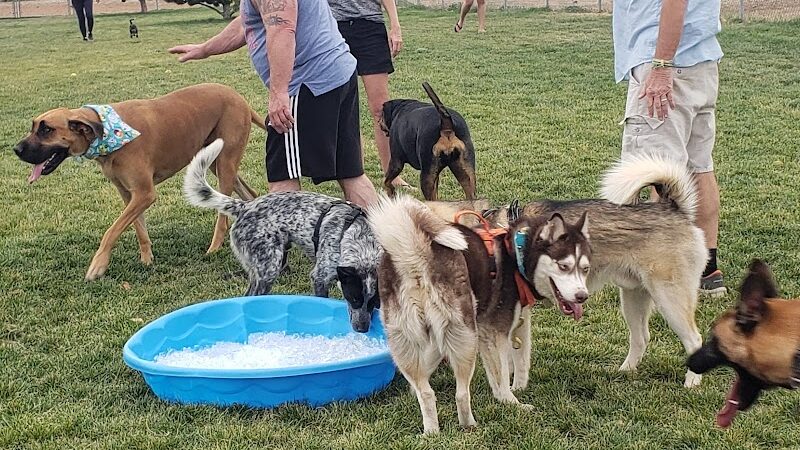 Town of Prescott Valley Dog Park - Prescott Valley, AZ