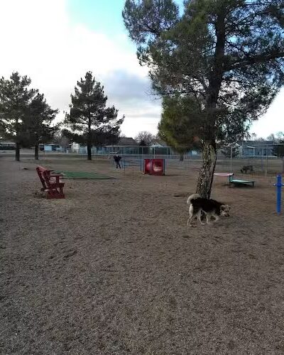 Town of Prescott Valley Dog Park - Prescott Valley, AZ