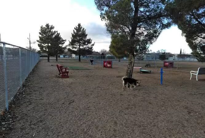 Town of Prescott Valley Dog Park - Prescott Valley, AZ