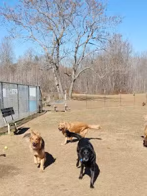 Grays Road Dog Park - Prince Frederick, MD