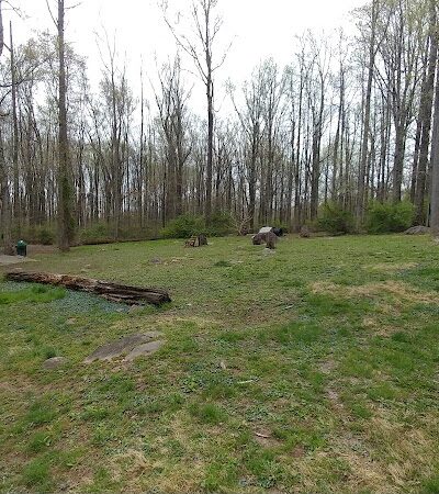 Rocky Top Dog Park (Membership req.) - Princeton, NJ