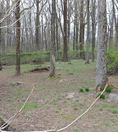 Rocky Top Dog Park (Membership req.) - Princeton, NJ