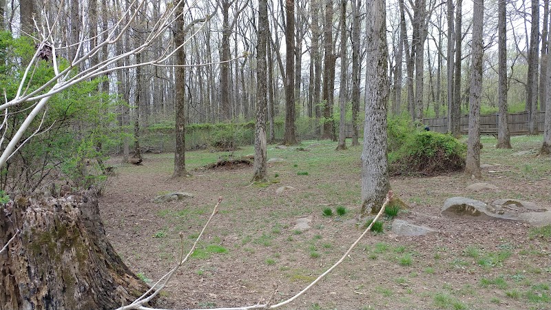 Rocky Top Dog Park (Membership req.) - Princeton, NJ