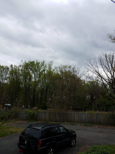 Rocky Top Dog Park (Membership req.) - Princeton, NJ