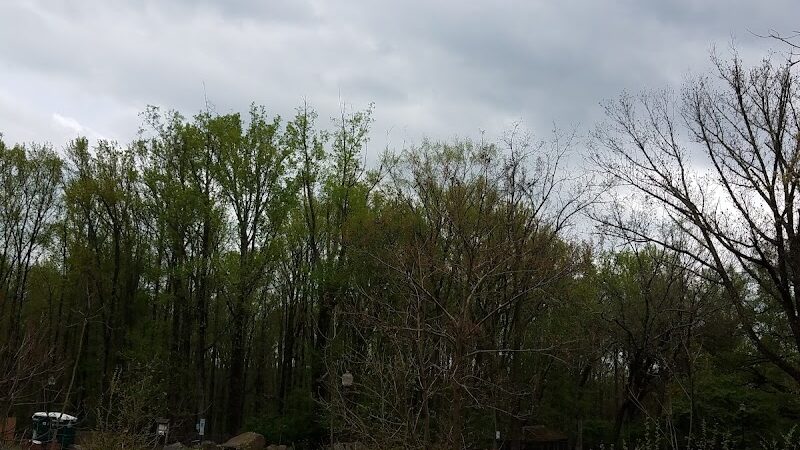 Rocky Top Dog Park (Membership req.) - Princeton, NJ