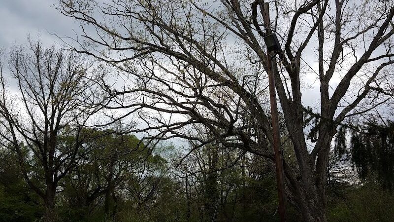 Rocky Top Dog Park (Membership req.) - Princeton, NJ