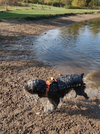Cleary Lake Dog Park - Prior Lake, MN