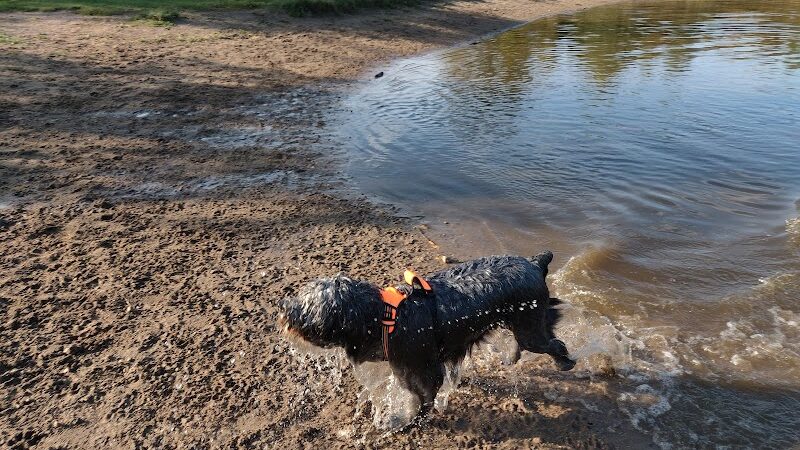 Cleary Lake Dog Park - Prior Lake, MN