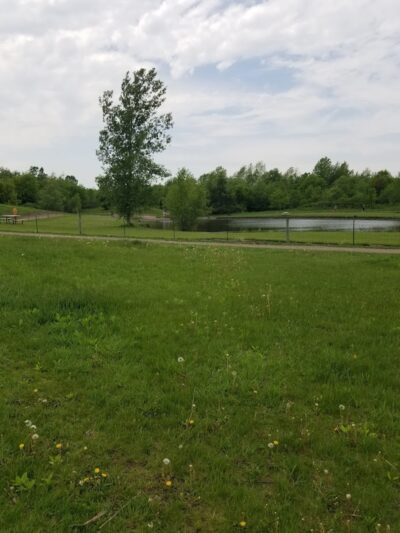 Cleary Lake Dog Park - Prior Lake, MN