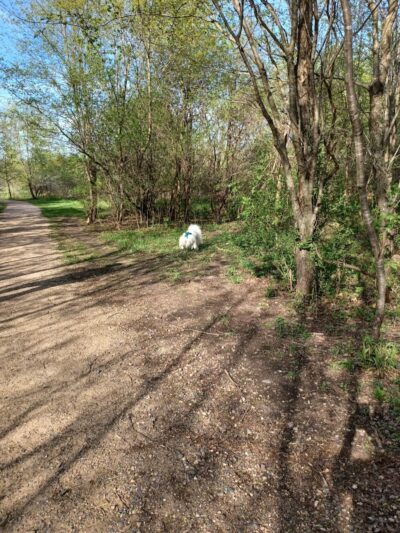 Cleary Lake Dog Park - Prior Lake, MN