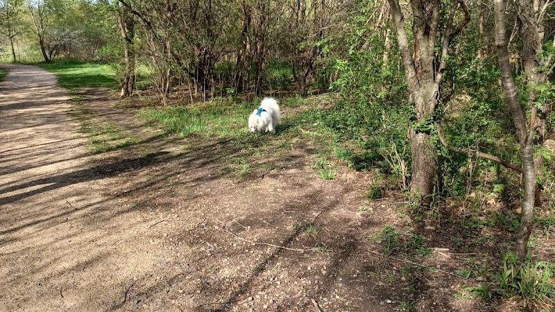 Cleary Lake Dog Park - Prior Lake, MN