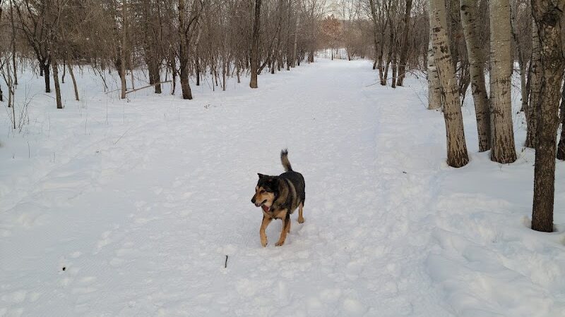 Cleary Lake Dog Park - Prior Lake, MN