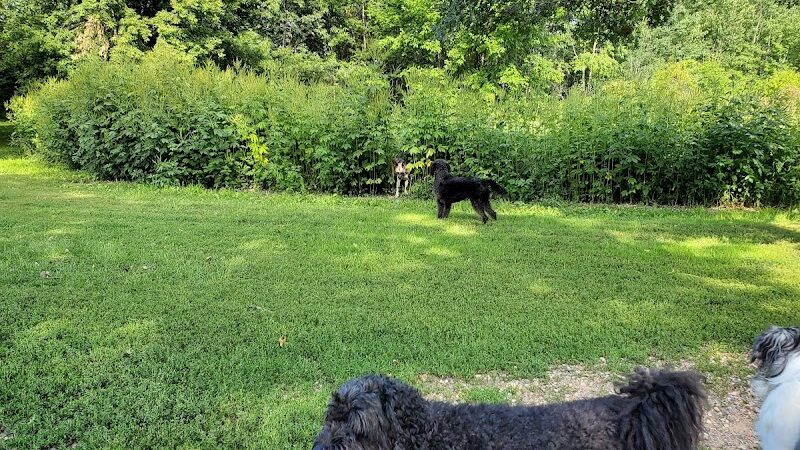 Cleary Lake Dog Park - Prior Lake, MN
